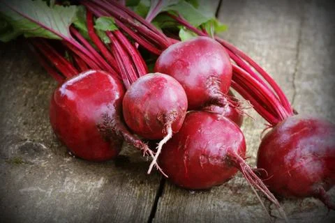 Fresh beetroot on rustic wooden background. Harvest vegetable cooking concept Stock Photos