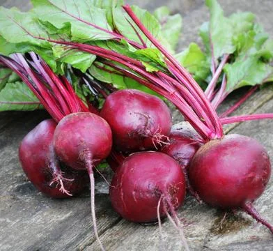 Fresh beetroot on rustic wooden background. Harvest vegetable cooking concept Stock Photos