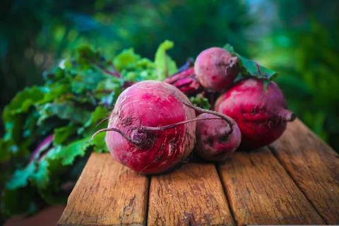 Fresh beetroots Stock Photos