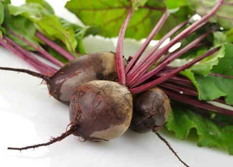 Fresh beets Stock Photos