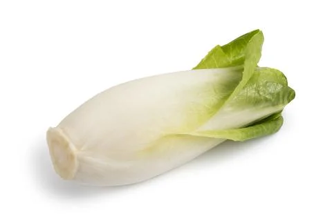 Fresh belgian endive Stock Photos