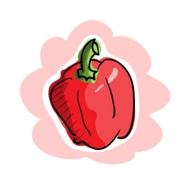 Fresh Bell Pepper Stock Illustration