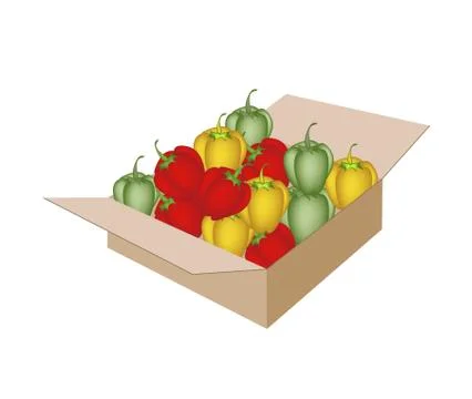 Fresh Bell Peppers in A Shipping Box Stock Illustration