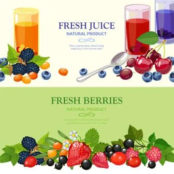 Fresh Berries 2 Flat Banners Set Stock Illustration