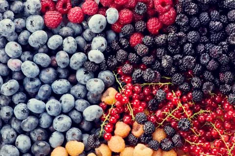 Fresh berries assortment Stock Photos