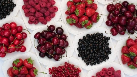 Fresh Berries Cherries And Currants Arranged On White Plates 스톡 동영상 344051464