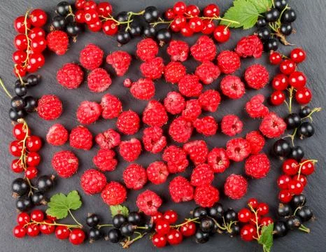 Fresh berries of cherry, raspberries, red currant and black currant 스톡 사진