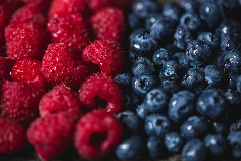 Fresh berries close up texture Stock Photos
