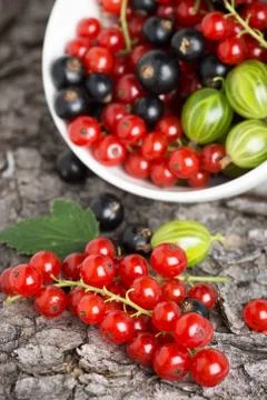 Fresh berries fruit background Stock Photos