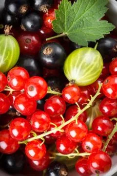 Fresh berries fruit background Stock Photos