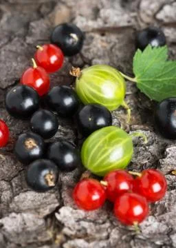 Fresh berries fruit background Stock Photos