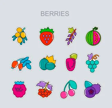 Fresh Berries icons set Stock Illustration