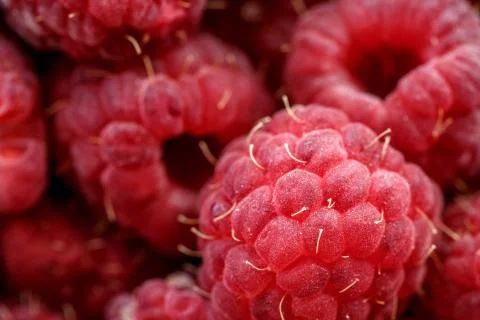 Fresh berries of pink raspberry Stock Photos