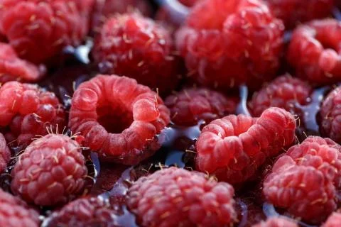 Fresh berries of pink raspberry Stock Photos