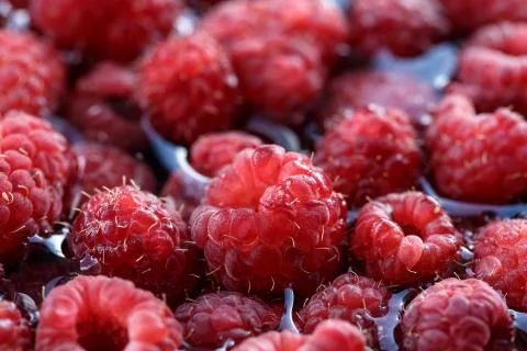 Fresh berries of pink raspberry Stock Photos