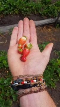 Fresh berry Stock Photos