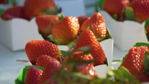 Fresh berry selection at local market Stock Footage 334656009