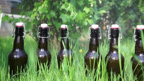Fresh beverages on a lawn Video stock 89606543