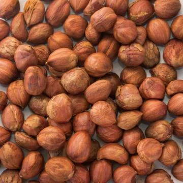 Fresh big hazelnuts Stock Photos