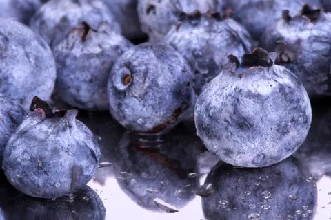 Fresh Bilberries. Close-up background Stock Photos