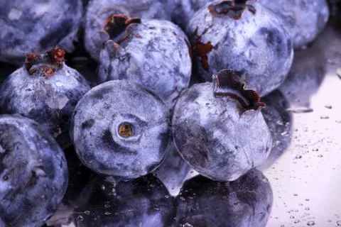 Fresh Bilberries. Close-up background Stock Photos