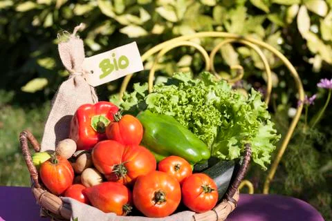 Fresh bio vegetables Stock Photos