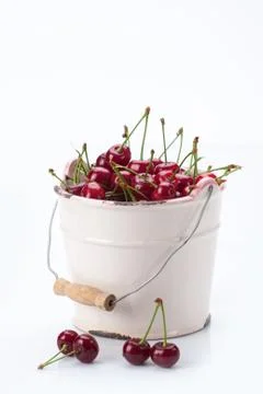 Fresh bird cherry Foto stock