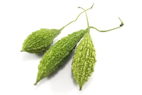 Fresh bitters Stock Photos