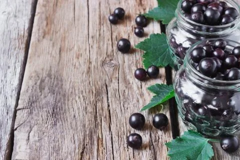 Fresh black currant Stock Photos