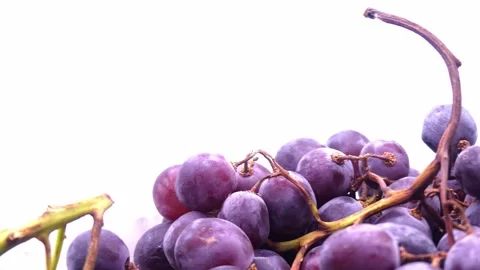 Fresh black grapes rotating on white background Stock Footage 345340076