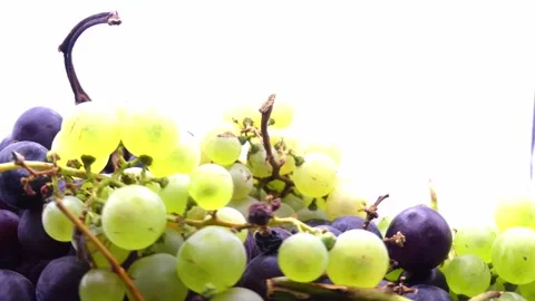 Fresh black grapes rotating on white background Stock Footage 345340080