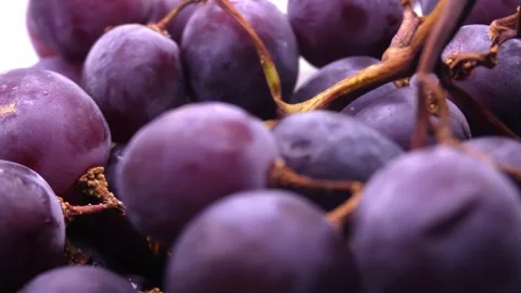 Fresh black grapes rotating on white background Stock Footage 345340081