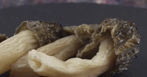 Fresh black morels closeup rotating Stock Footage 160060915