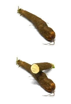 Fresh black salsify on white background Stock Photos