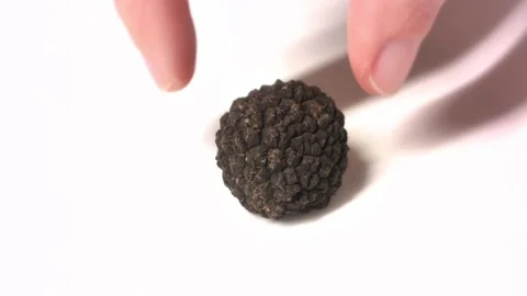 A fresh black truffle put and removed by a hand. Video stock 292232370