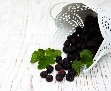 Fresh Blackberries Stock Photos
