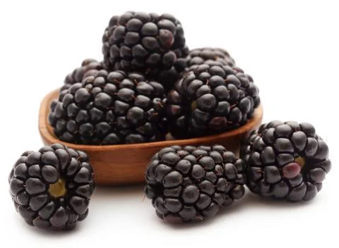 Fresh blackberries Stock Photos