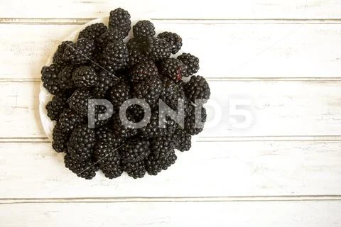 Fresh blackberries on white china plate. Stock Photos