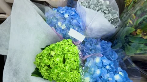 Fresh Blue and Green Hydrangea Bouquets at Flower Market Stock-Footage 343593539