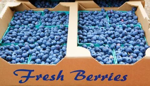 Fresh blue berries Stock Photos