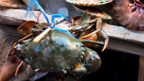 Fresh Blue Crab Close Up at Thai Seafood Market in Phuket 4K 스톡 동영상 338003905