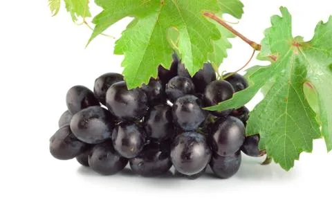 Fresh blue grape isolated Stock Photos