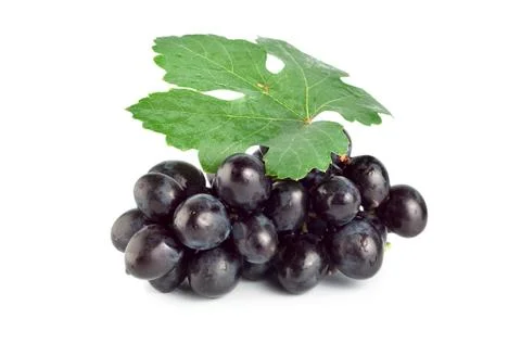 Fresh blue grape Stock Photos