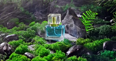 Fresh blue perfume on moss in dark hazy forest. Stock-Footage 334001545