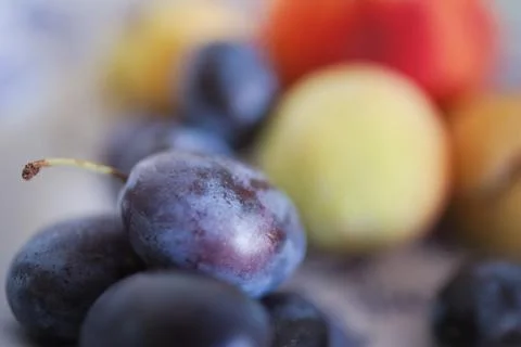Fresh Blue Plum Stock Photos