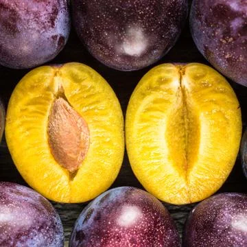 Fresh blue plums Stock Photos