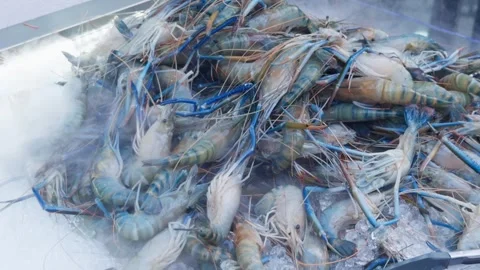 Fresh Blue River Prawns Piled at Thai Seafood Market, Macro Close-Up Видео 333296613