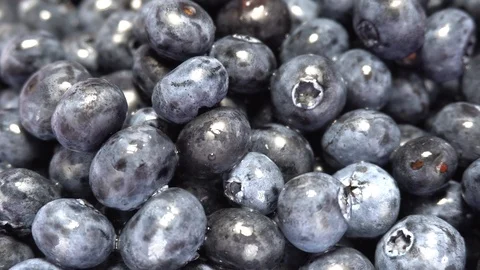 Fresh blueberries 4k Stock Footage 92327552