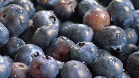 Fresh blueberries background 2 Stock Footage 107210619