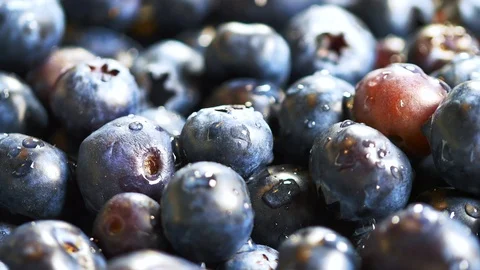 Fresh blueberries background 3 Stock Footage 107211074